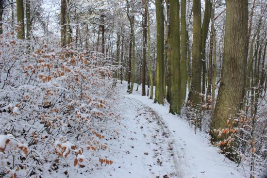 Wycieczki rowerowe